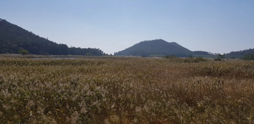 20181013_121004.jpg?type=w966