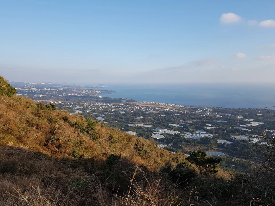 20170101_162849.jpg?type=w966