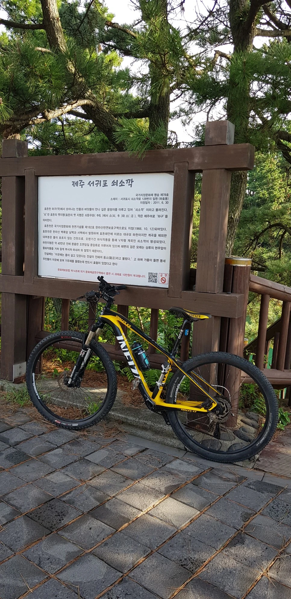 20180922_082722.jpg?type=w966