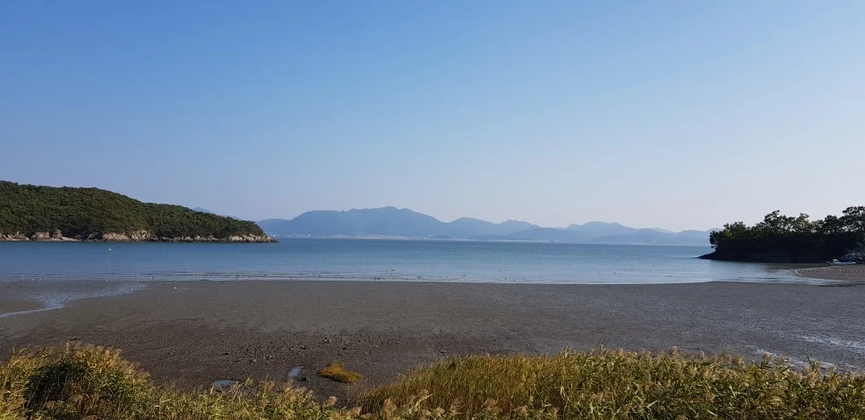 20181013_152722.jpg?type=w966