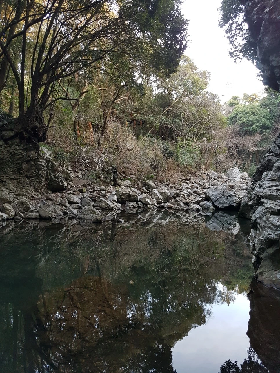 20170305_175807.jpg?type=w966