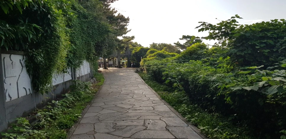 20180922_080351.jpg?type=w966