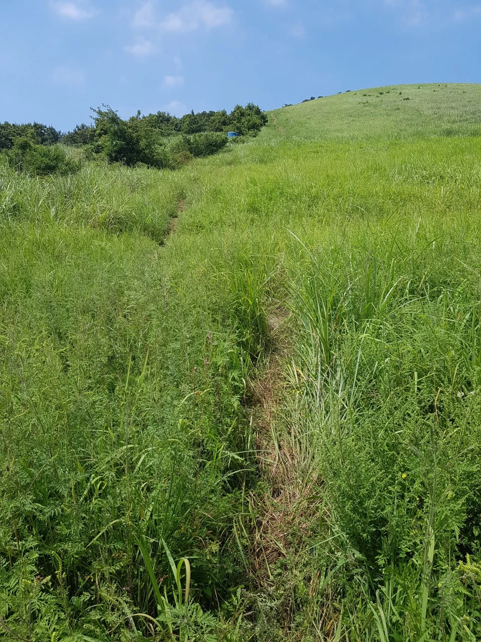 20160826_134646.jpg?type=w966