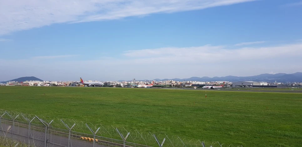 20180922_160816.jpg?type=w966