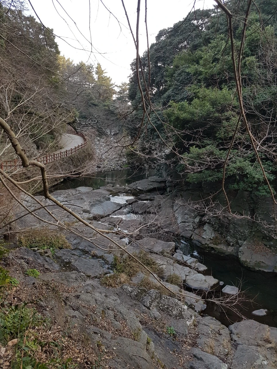 20170305_175355.jpg?type=w966