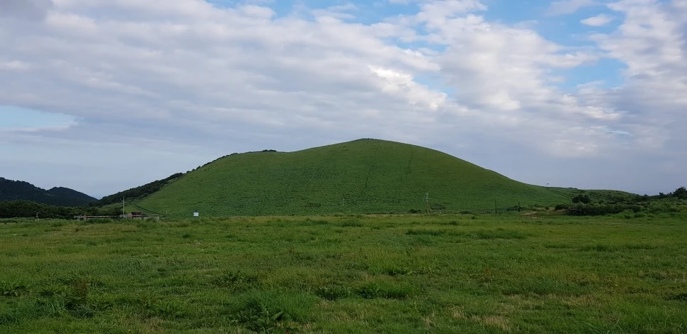 20180730_072303.jpg?type=w966