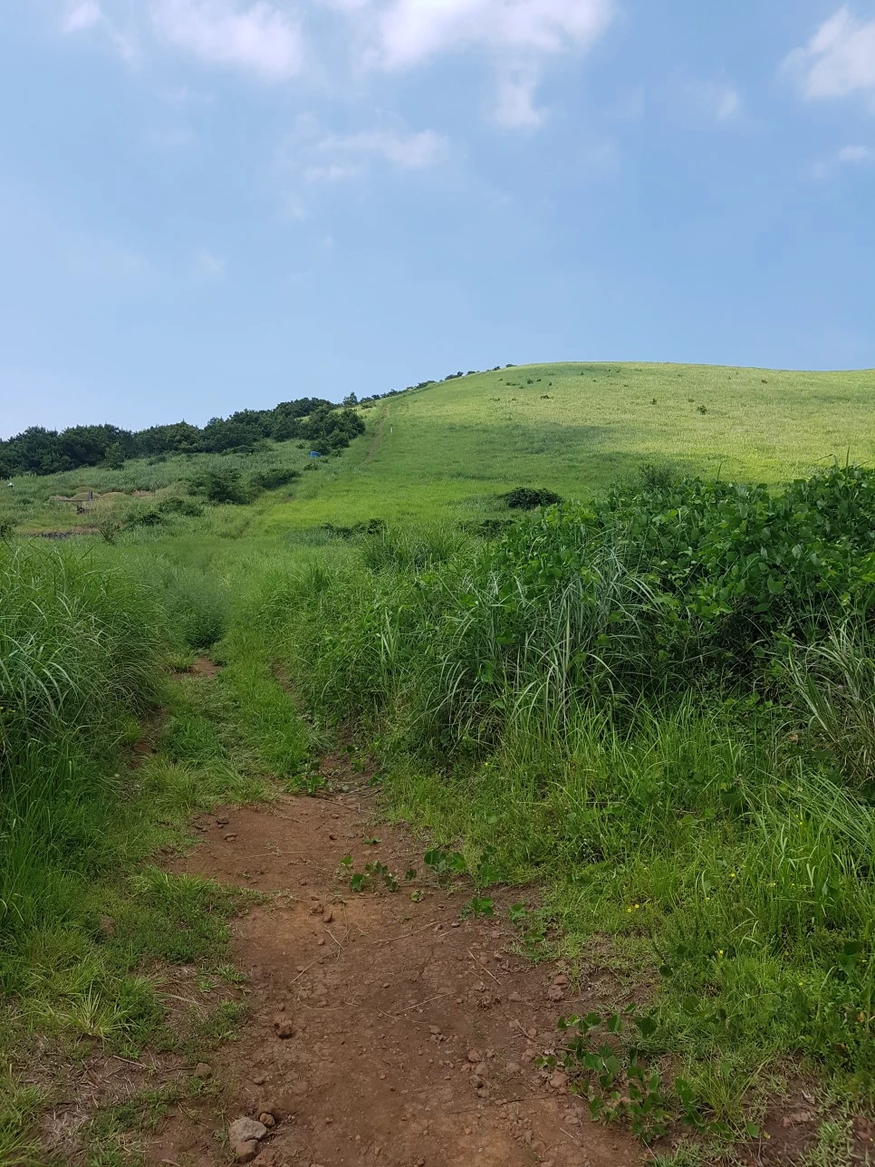 20160826_134542.jpg?type=w966