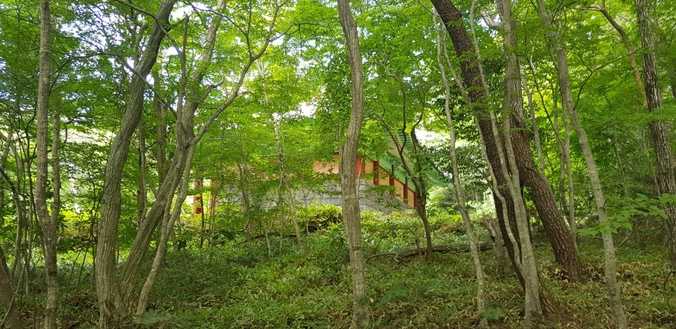 20180802_102222.jpg?type=w966