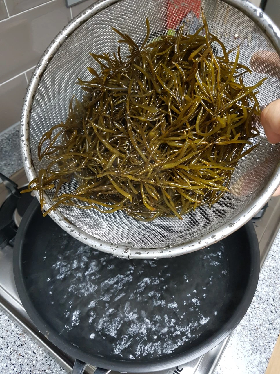 20170329_210130.jpg?type=w966