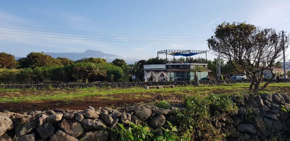 20180922_073905.jpg?type=w966