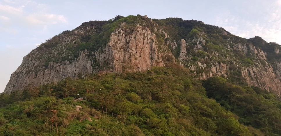 20180922_062818.jpg?type=w966