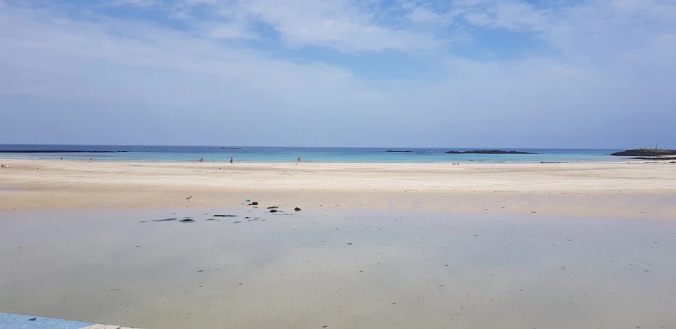 20180922_143322.jpg?type=w966