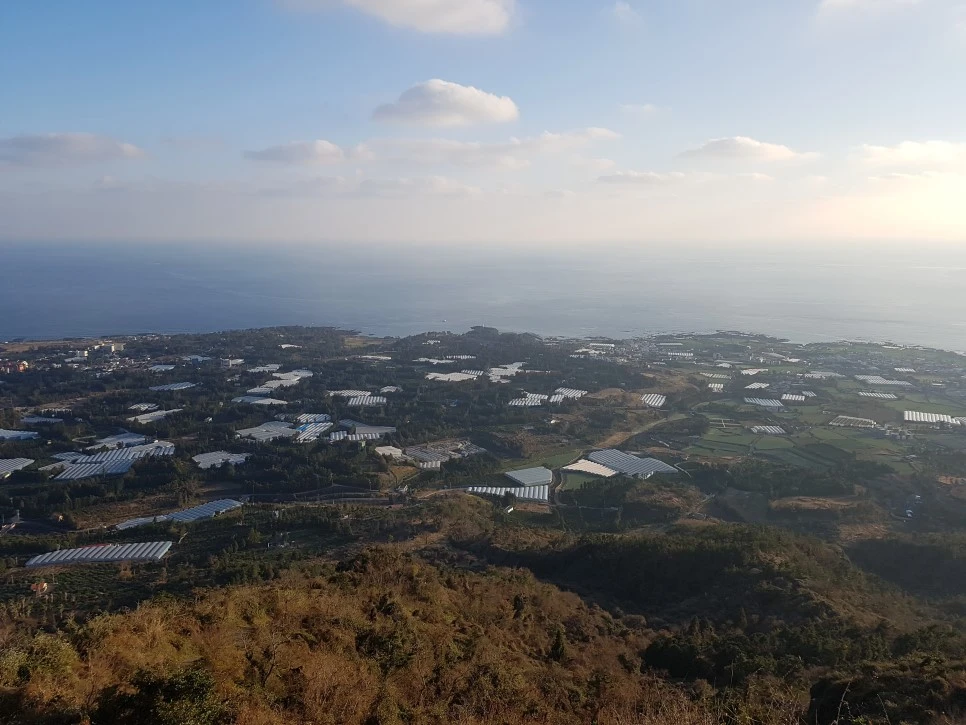 20170101_163343.jpg?type=w966