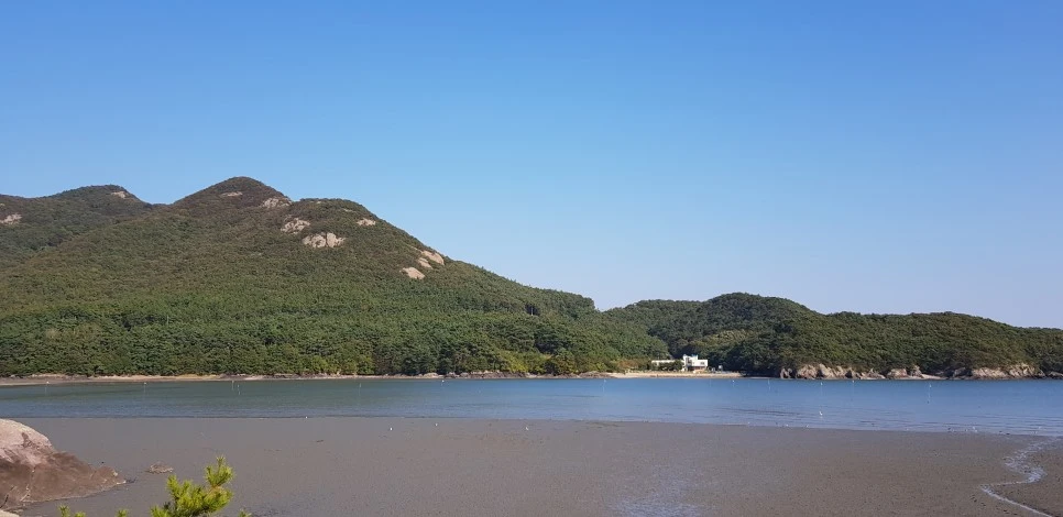 20181013_152727.jpg?type=w966