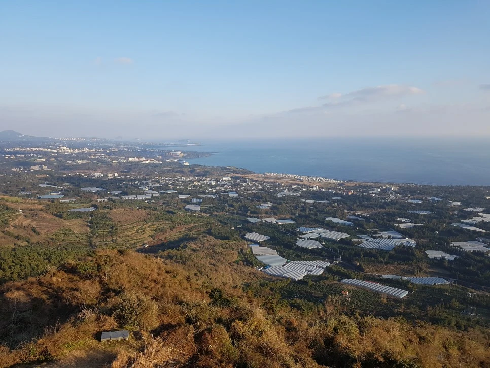 20170101_163340.jpg?type=w966