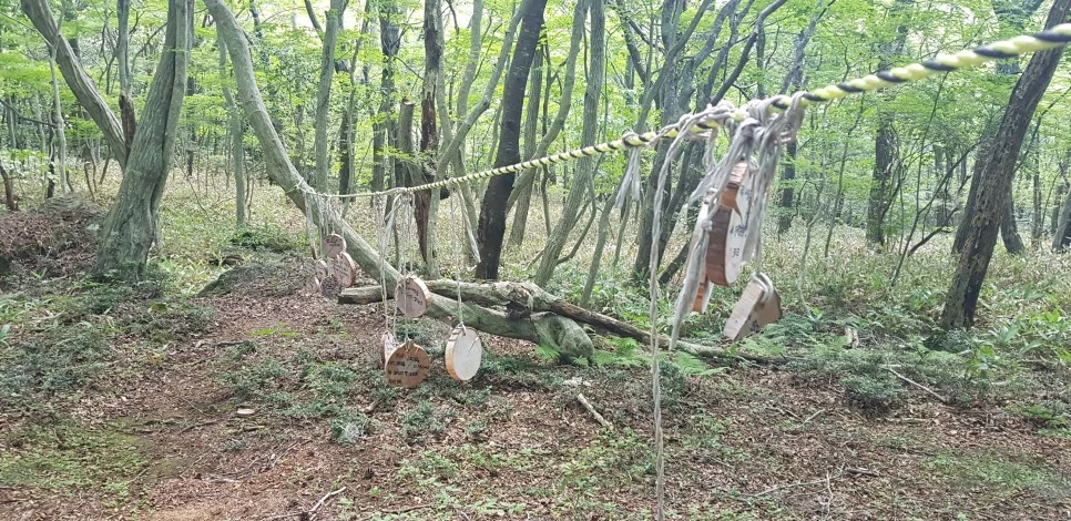 20180802_102115.jpg?type=w966