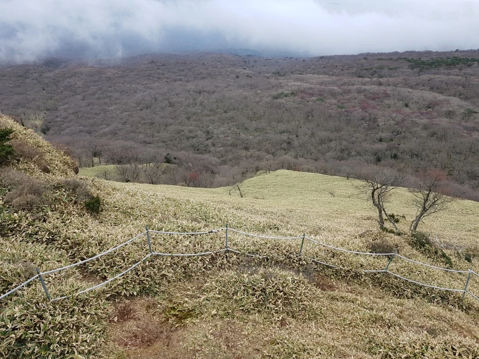 20161204_130437.jpg?type=w966