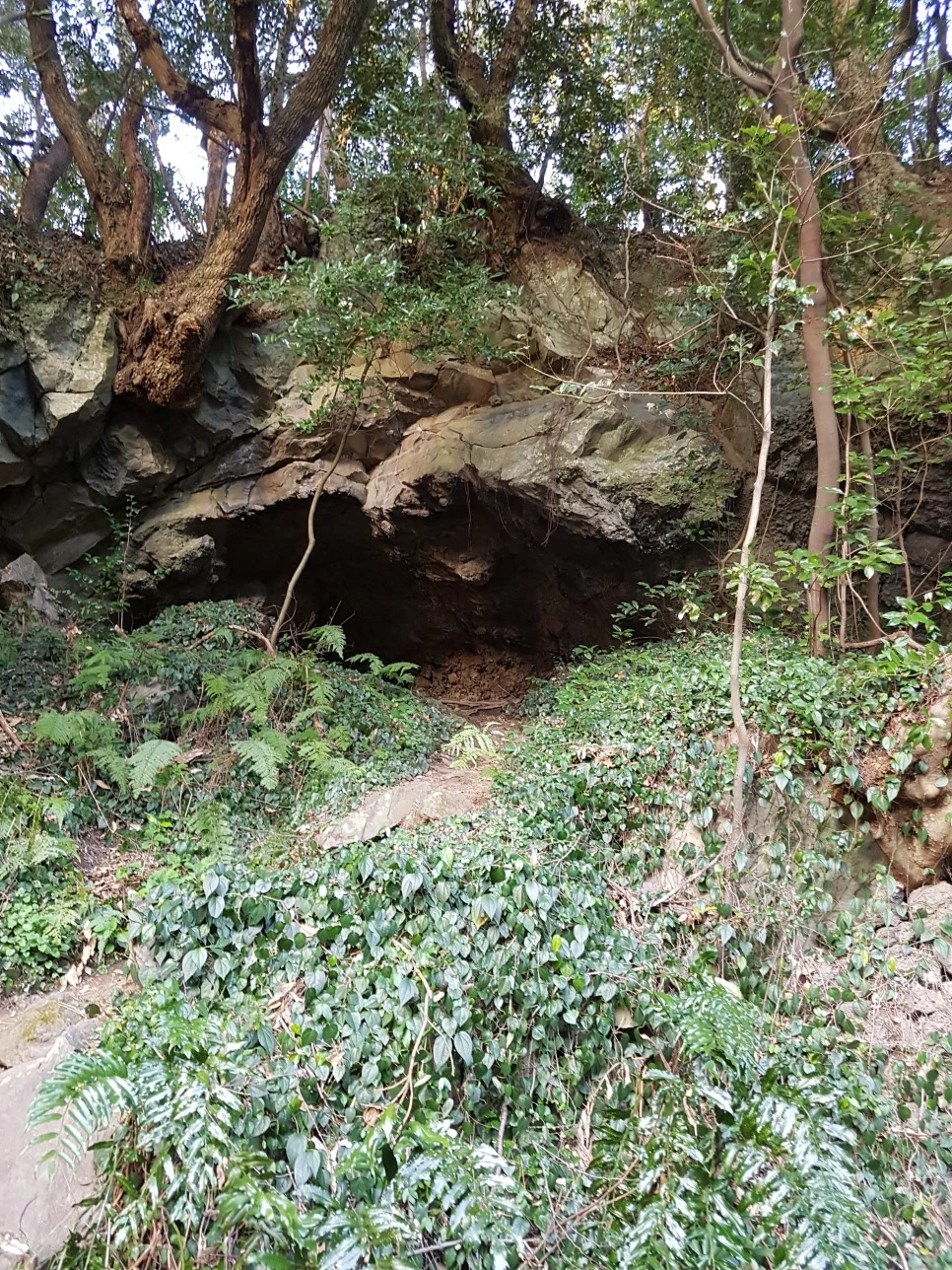 20170305_175330.jpg?type=w966