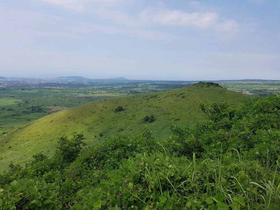 20160826_135443.jpg?type=w966