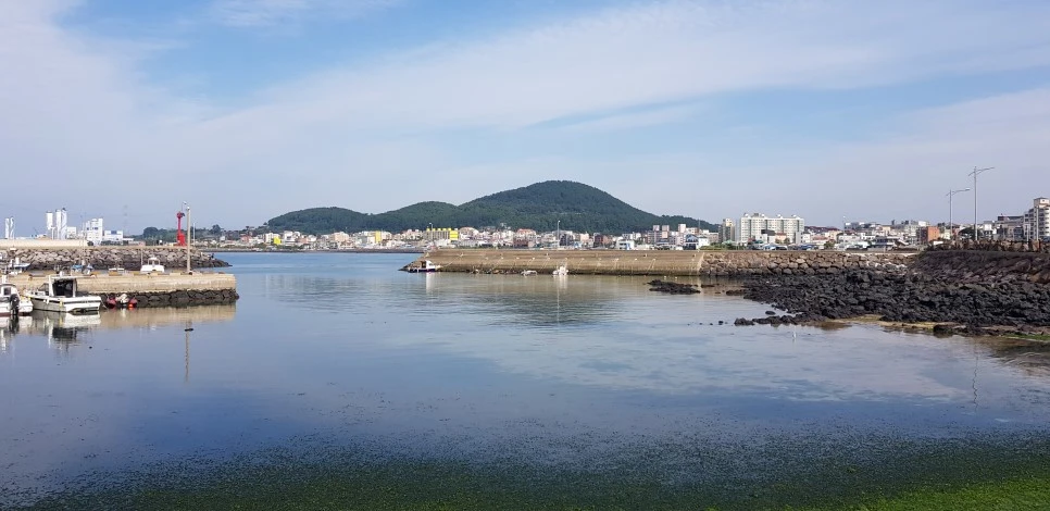 20180922_151126.jpg?type=w966