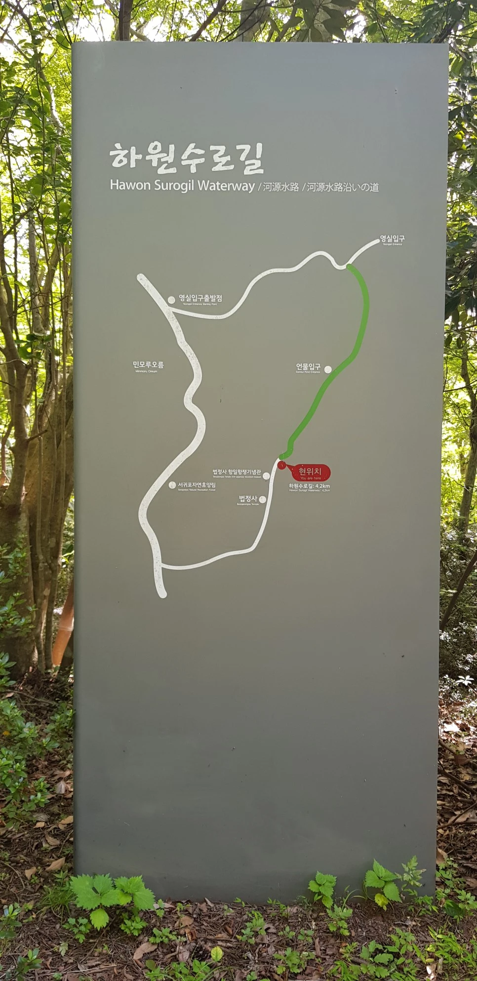 20180802_102031.jpg?type=w966