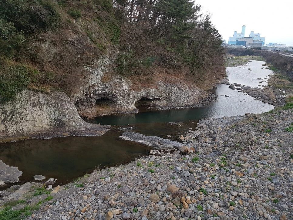 20170305_182413_001.jpg?type=w966