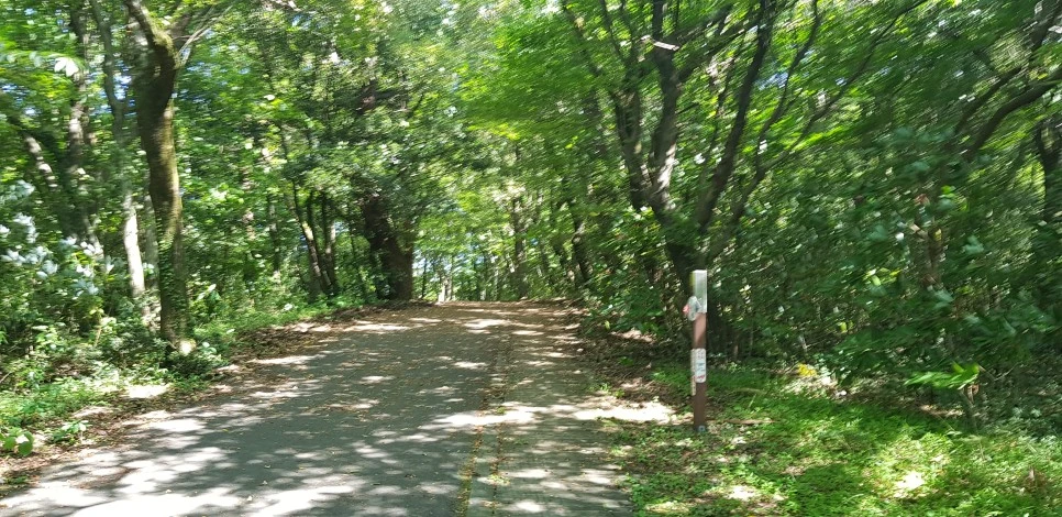 20180802_101127.jpg?type=w966