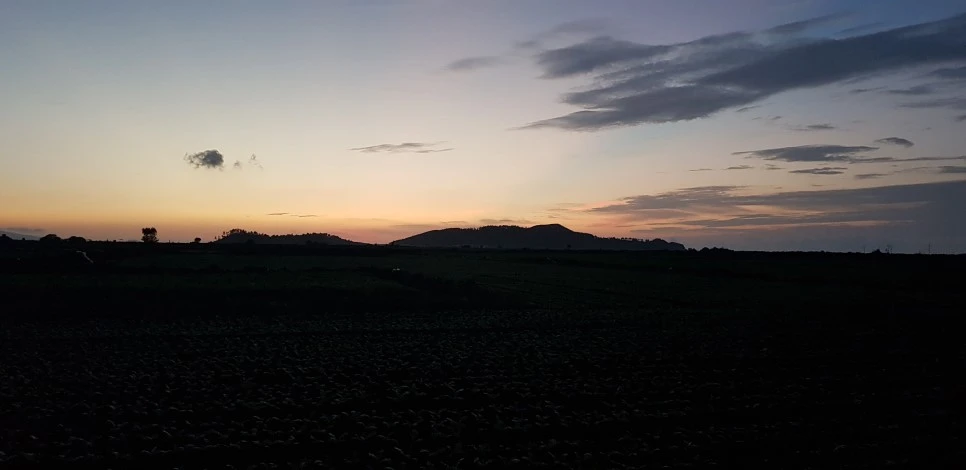 20180922_060254.jpg?type=w966