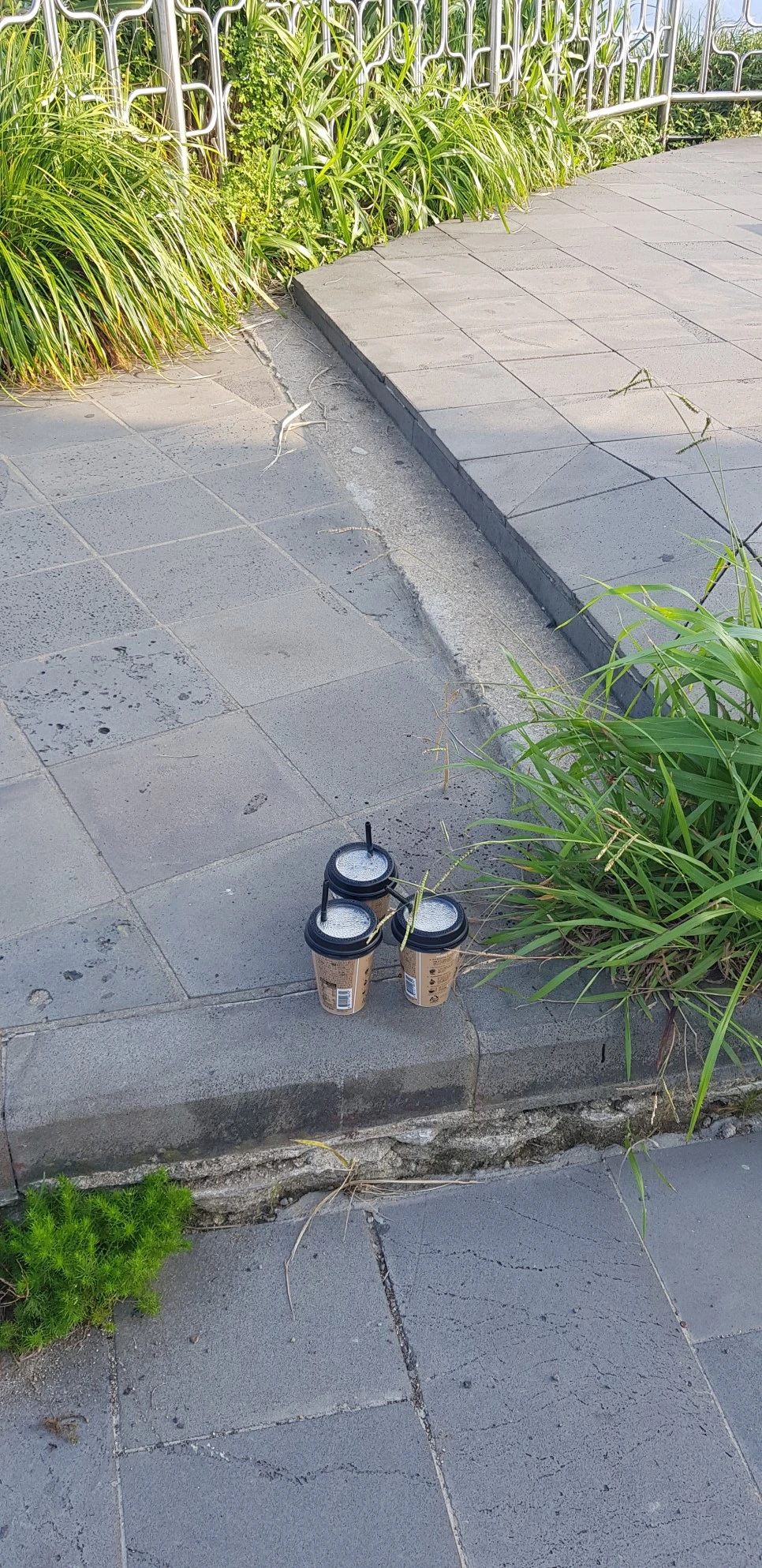 20180715_072242.jpg?type=w966