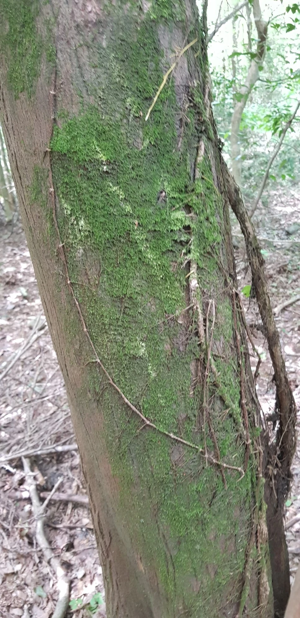 20180802_114503.jpg?type=w966