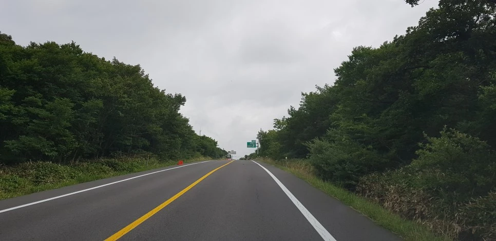 20180729_101501.jpg?type=w966