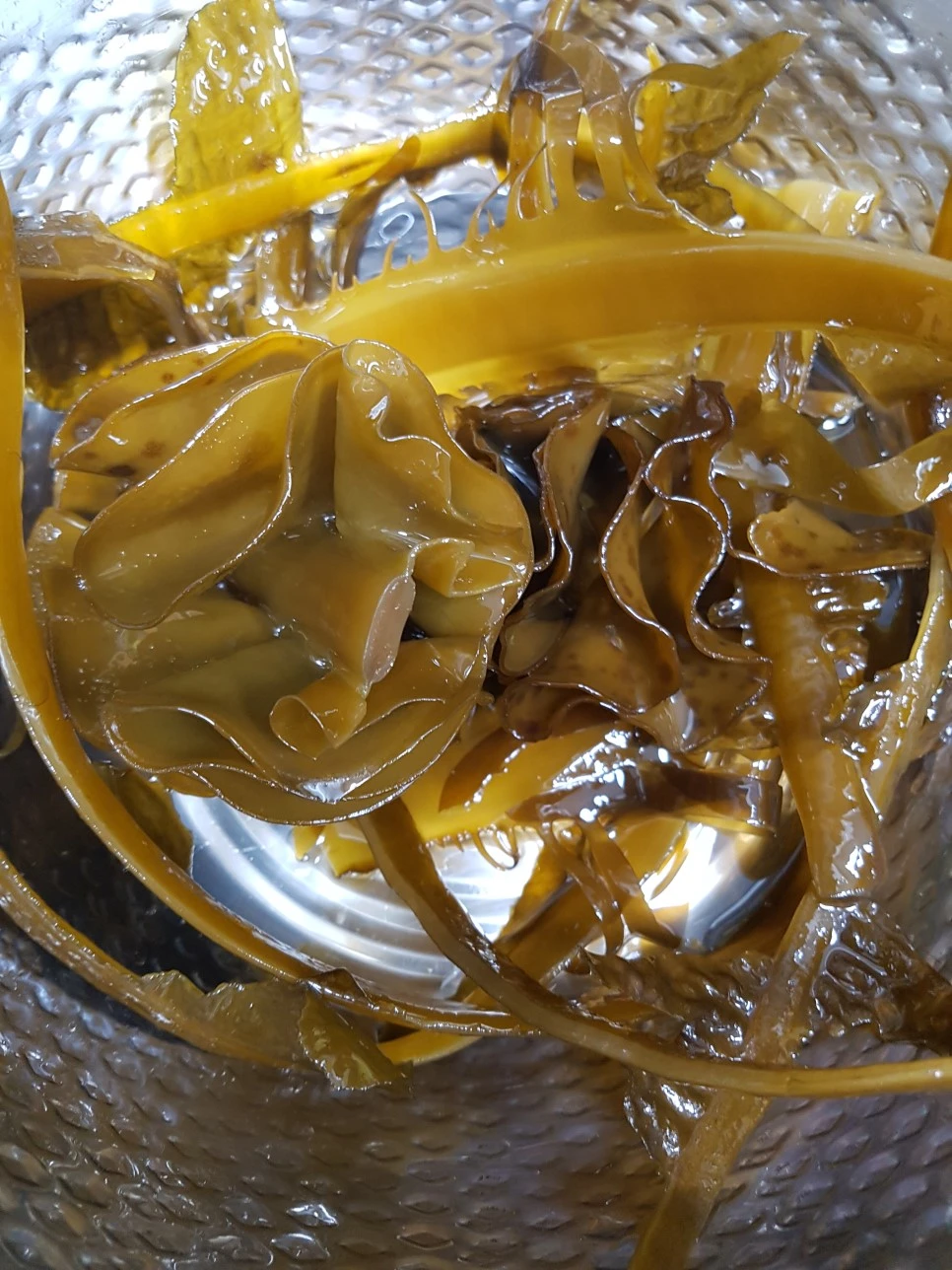 20170329_191246.jpg?type=w966