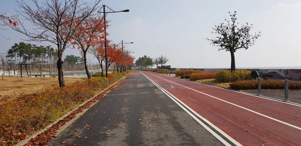 20181110_104448.jpg?type=w966