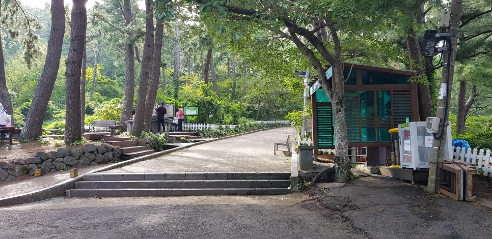 20180922_153130.jpg?type=w966