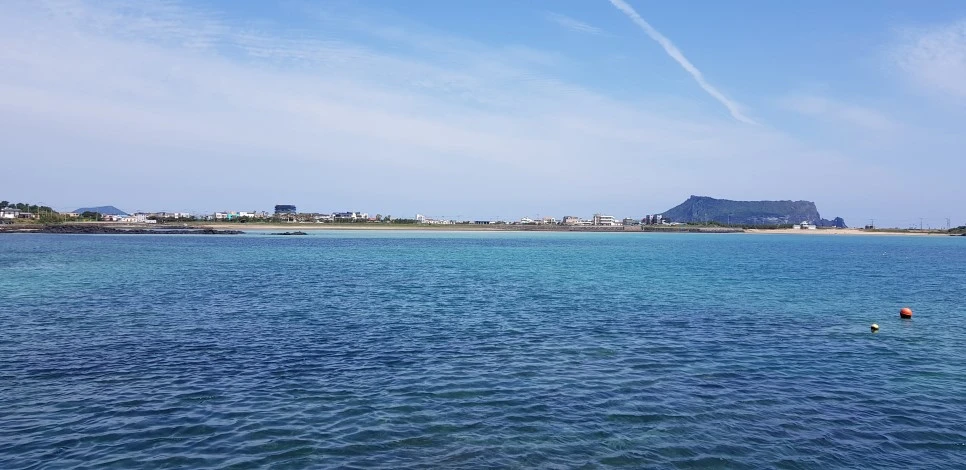 20180922_111806.jpg?type=w966