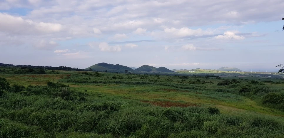 20180730_071802.jpg?type=w966