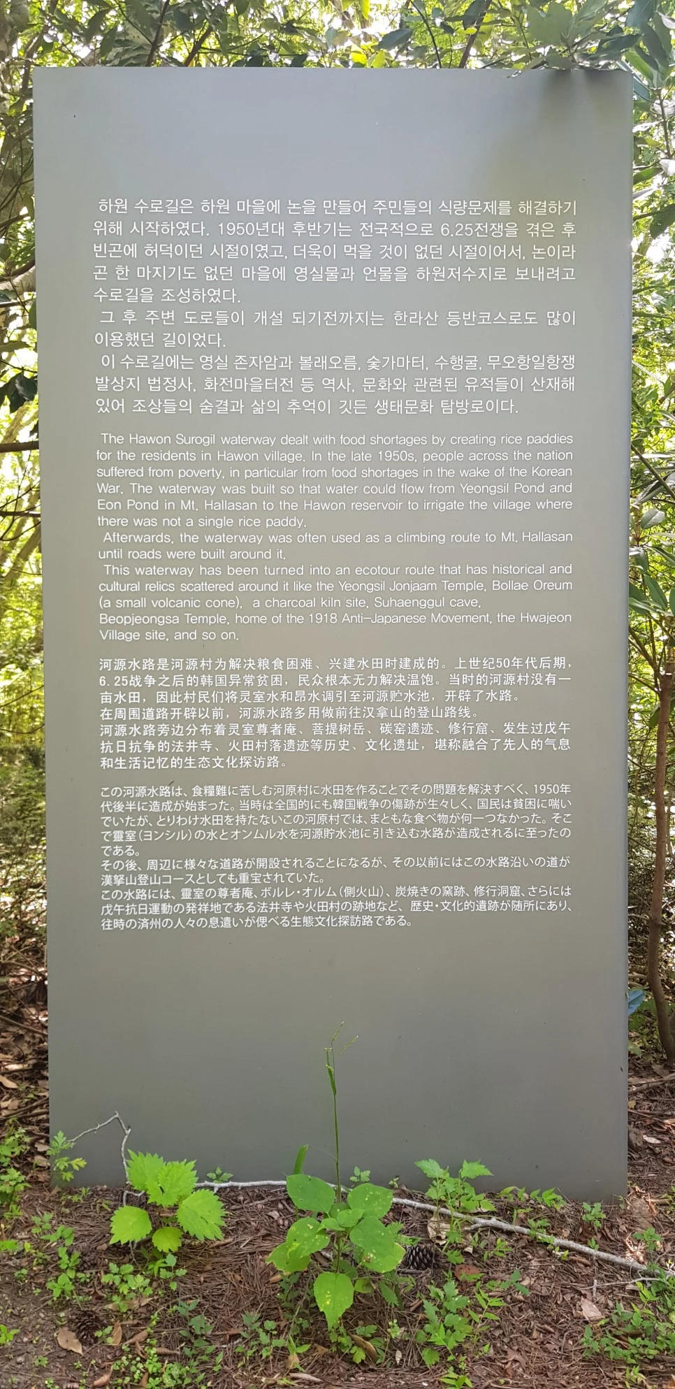 20180802_102036.jpg?type=w966