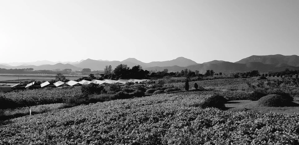 20181013_163617.jpg?type=w966