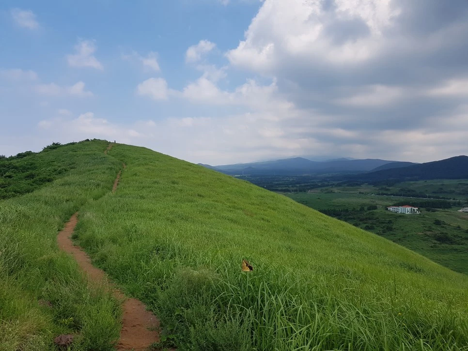 20160826_135644.jpg?type=w966