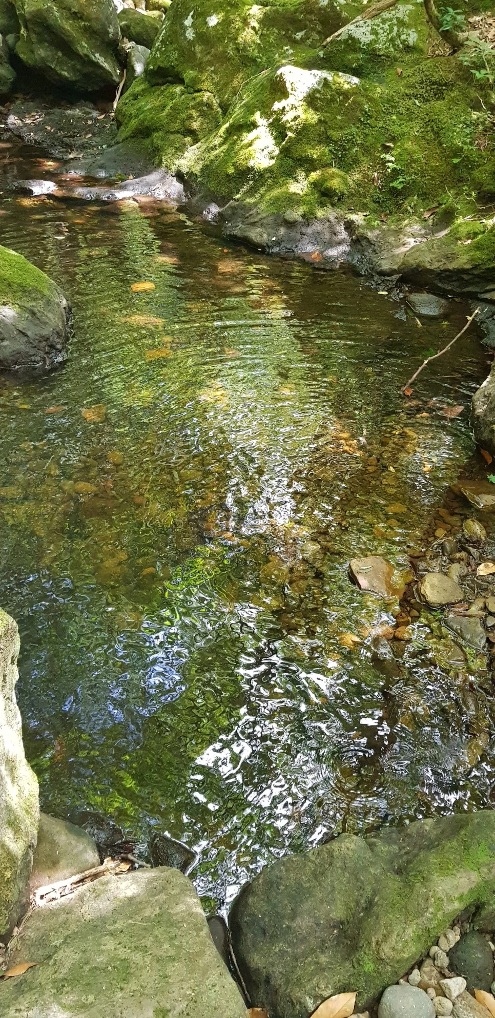 20180802_110636.jpg?type=w966