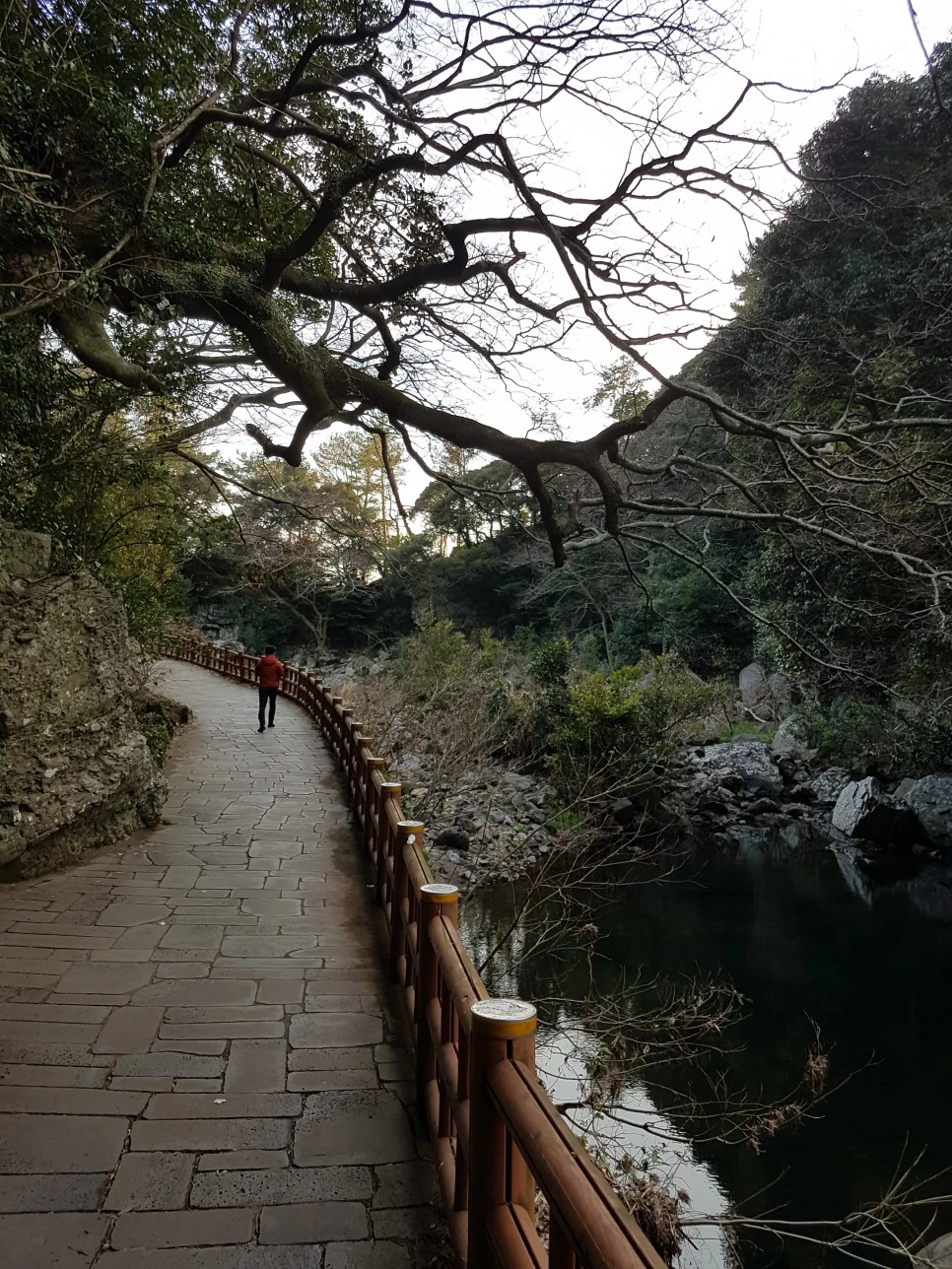 20170305_175510.jpg?type=w966