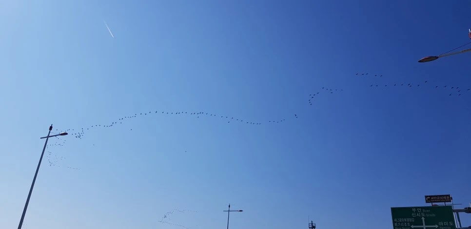 20181013_101346.jpg?type=w966