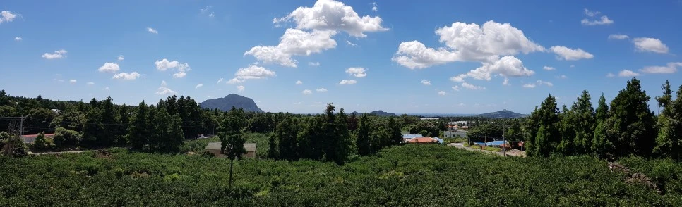 20160829_114226.jpg?type=w966