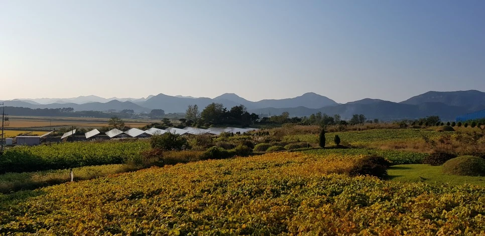 20181013_163602.jpg?type=w966