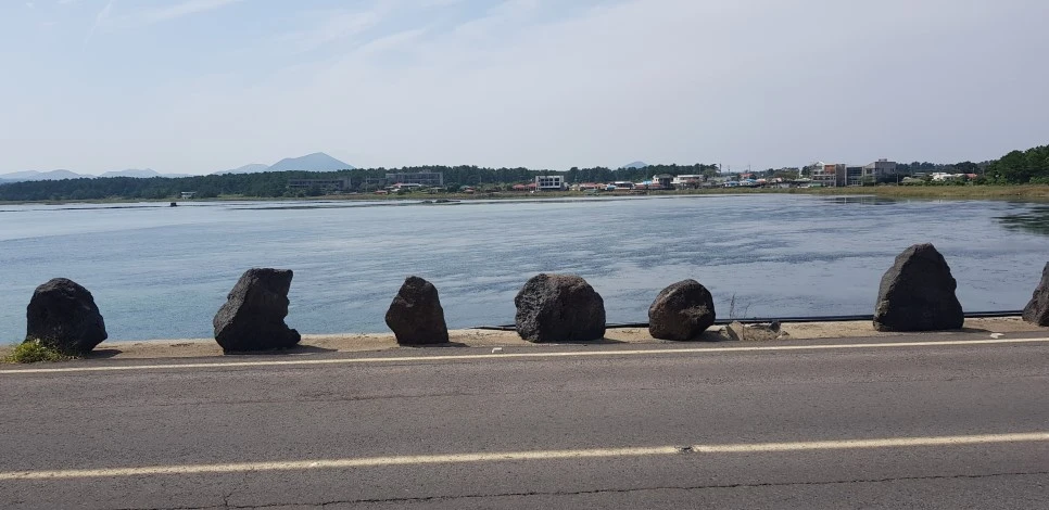 20180922_124018.jpg?type=w966