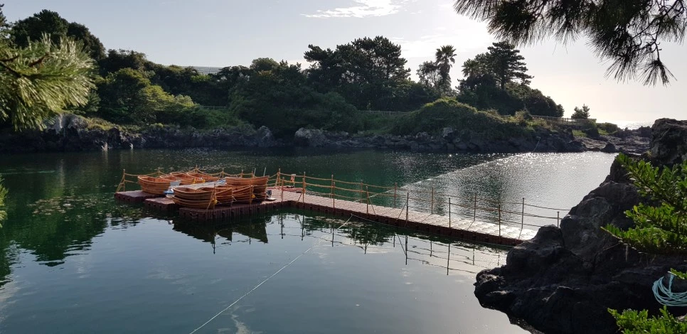 20180922_082746.jpg?type=w966