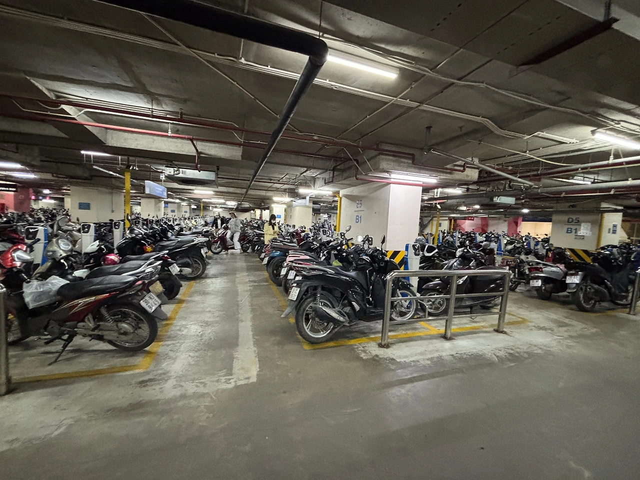 IMG_5469 - 복사본.JPG