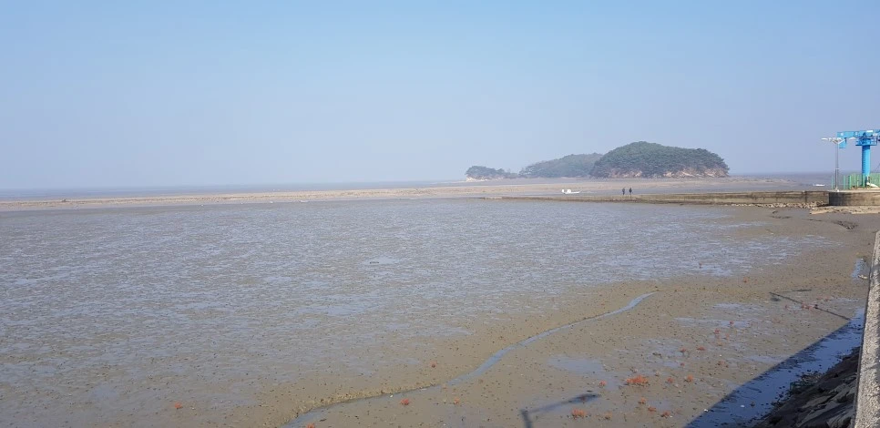 20181110_115537.jpg?type=w966