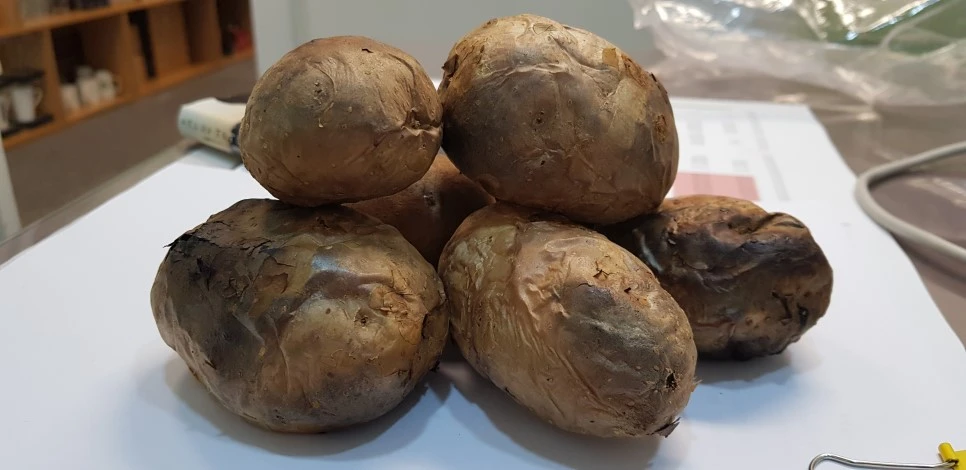 20180710_090856.jpg?type=w966