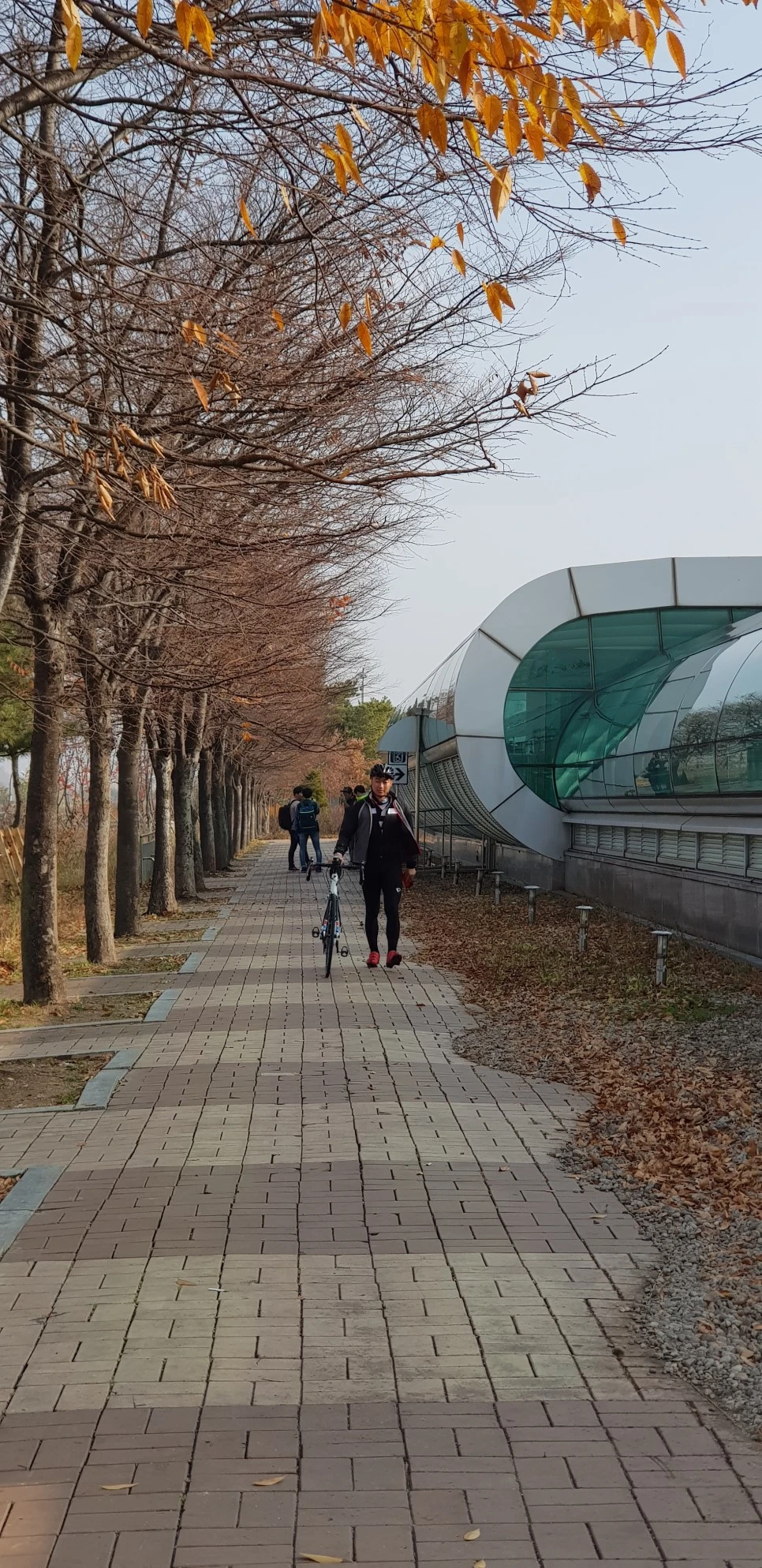 20181110_101834.jpg?type=w966